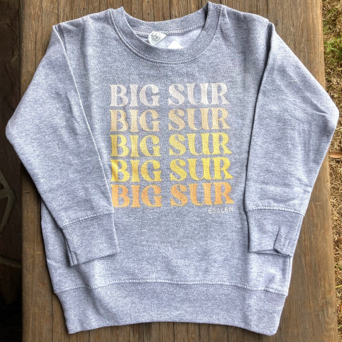 Big Sur Toddler Sweatshirt in Heather Grey – Esalen Bookstore