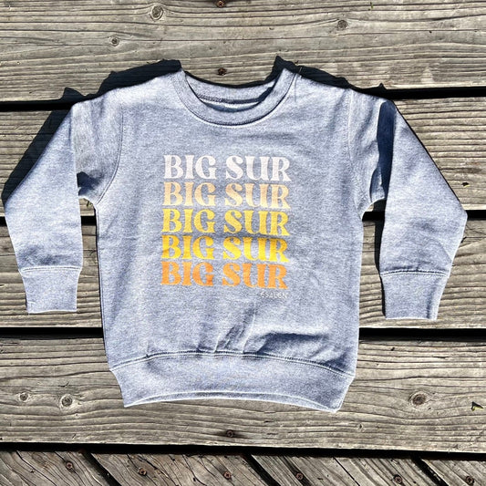 Big Sur Toddler Sweatshirt in Heather Grey, Size 3T