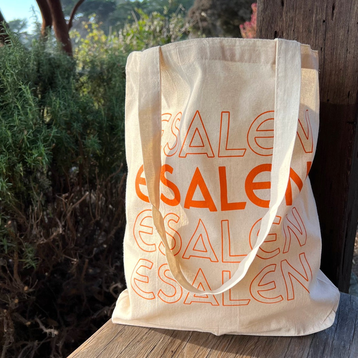 Esalen Stacked Logo Canvas Tote Bag in Orange