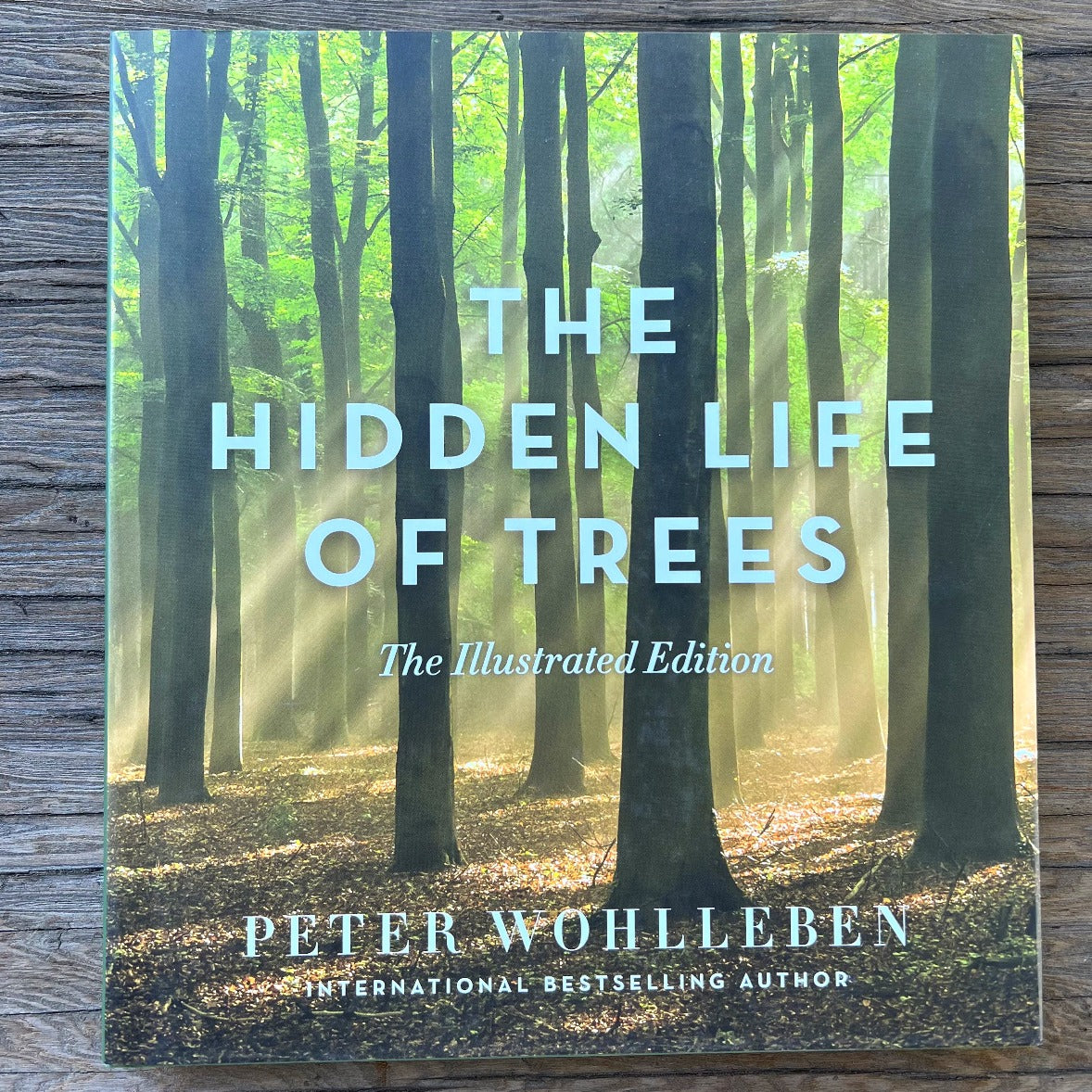 The Hidden Life of Trees - Illustrated Edition by Peter Wohlleben