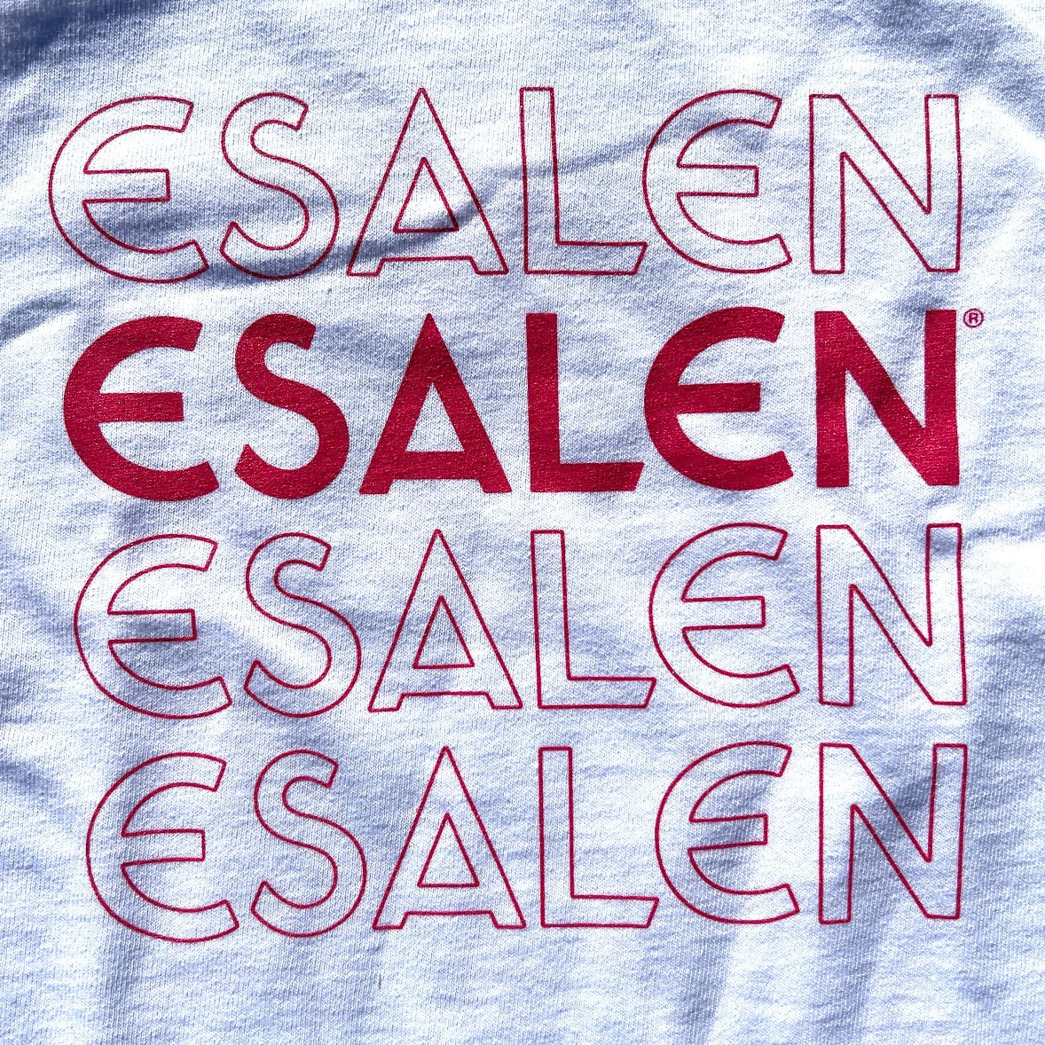 Esalen Stacked Logo Toddler T-Shirt in White