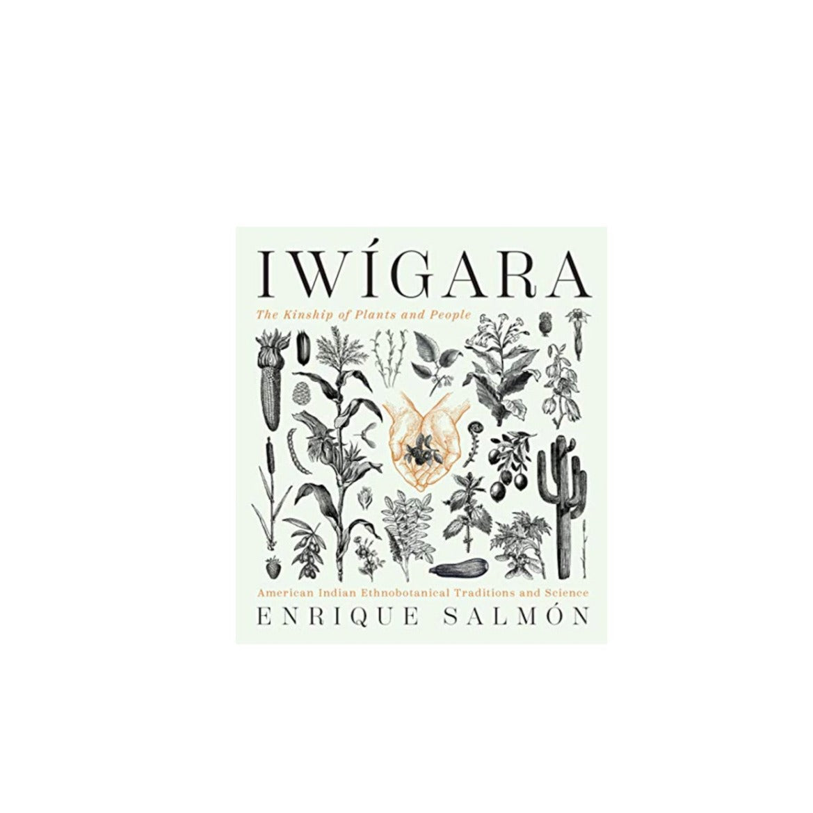 Iwigara by Enrique Salmon